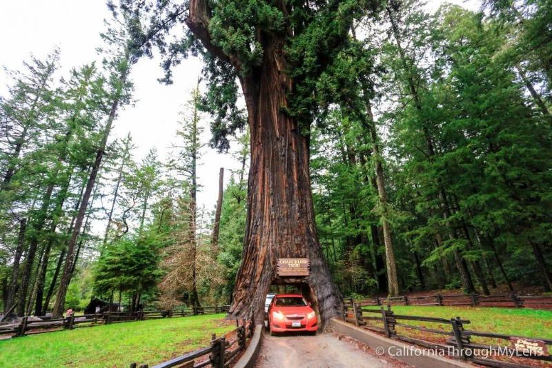Redwoods River Resort image