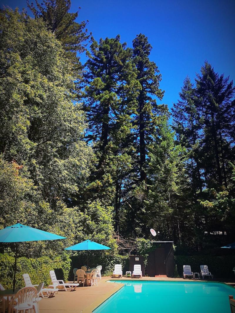 Redwoods River Resort image
