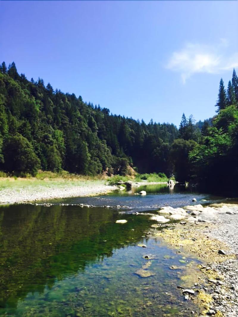 Redwoods River Resort image