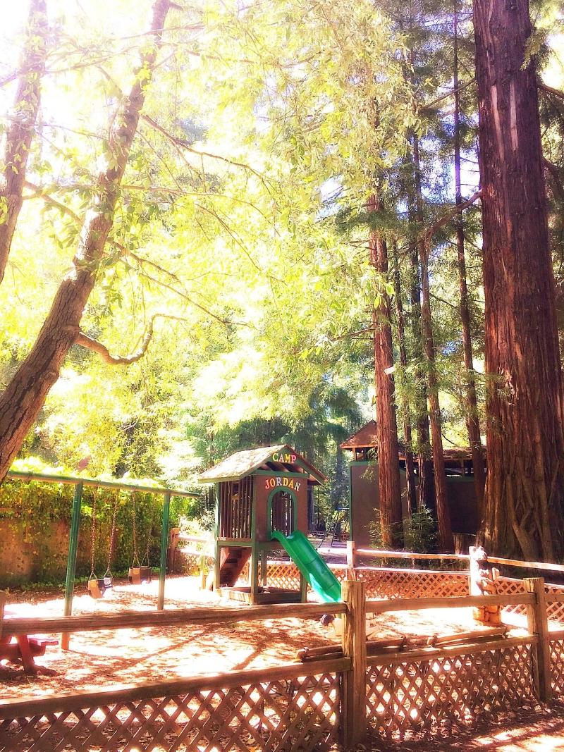 Redwoods River Resort image