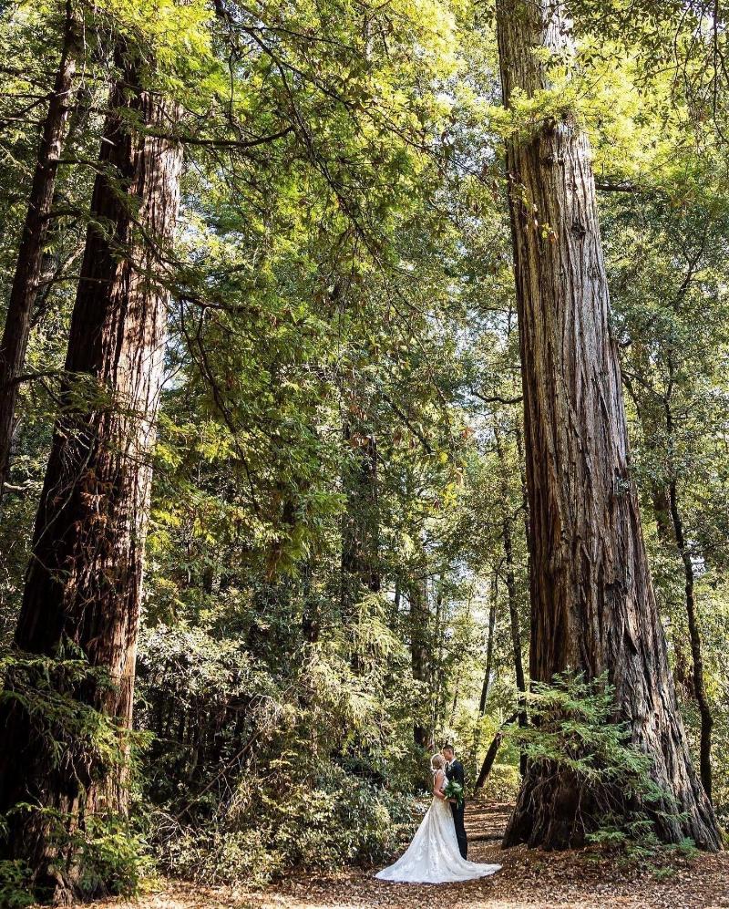 Redwoods River Resort image