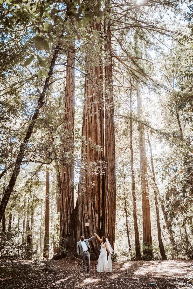 Redwoods River Resort image