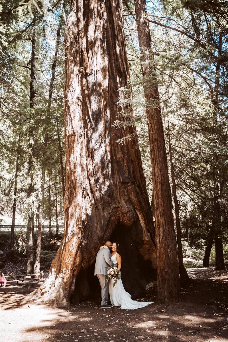 Redwoods River Resort image