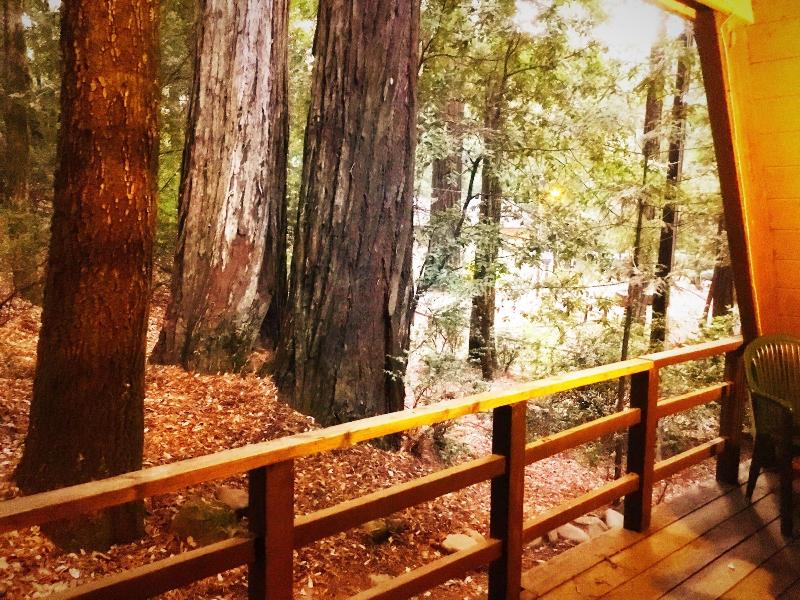 Redwoods River Resort image