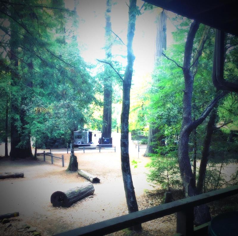 Redwoods River Resort image