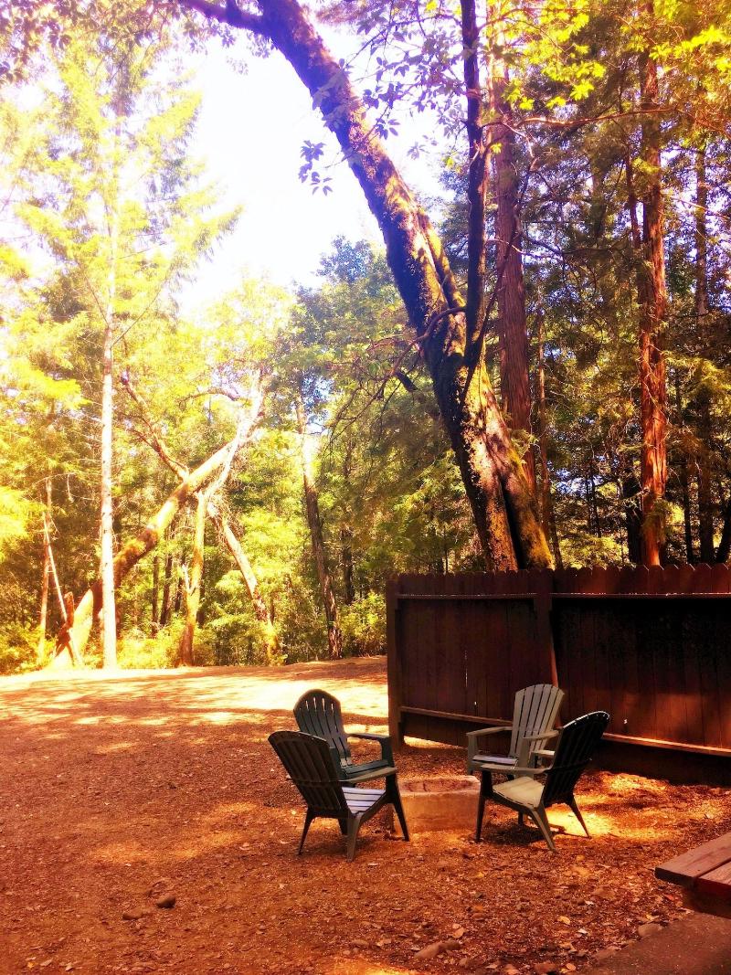 Redwoods River Resort image