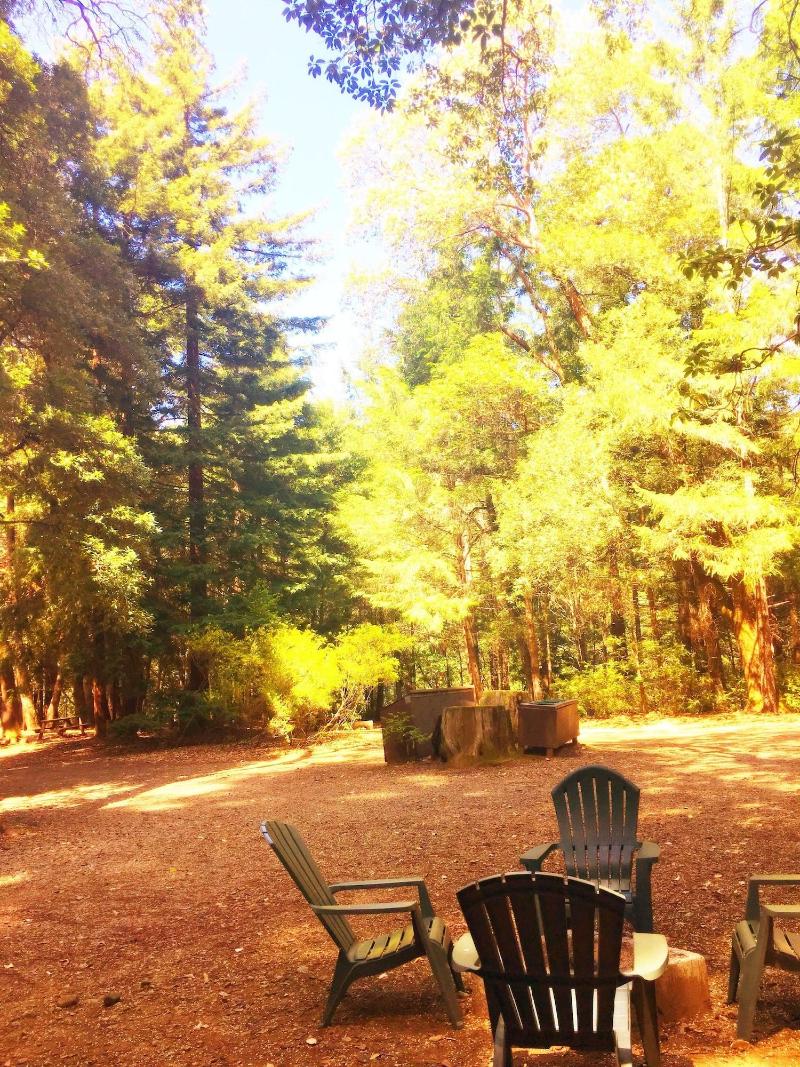 Redwoods River Resort image
