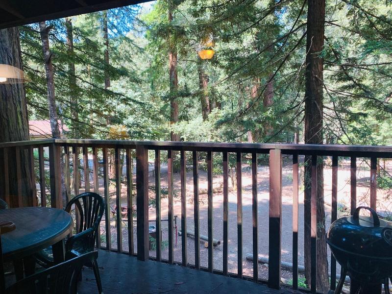 Redwoods River Resort image