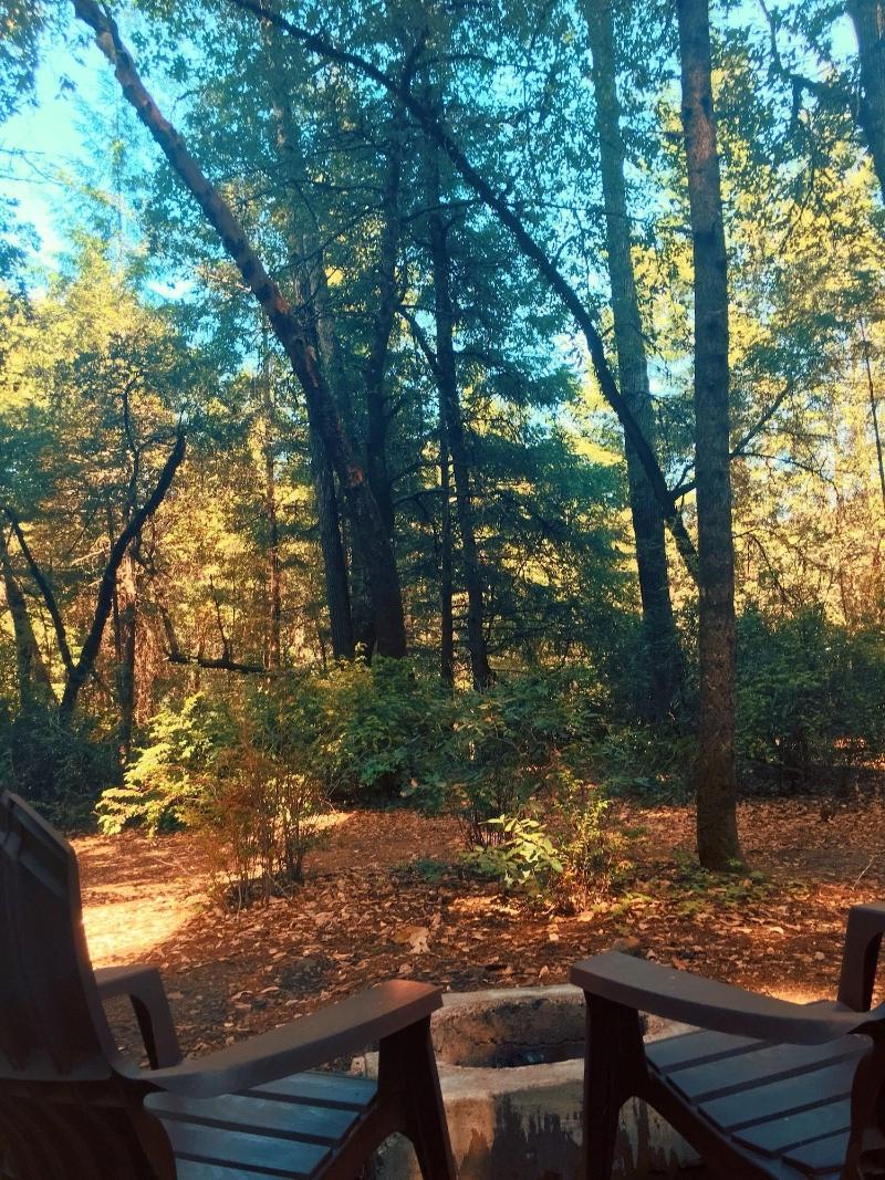 Redwoods River Resort image