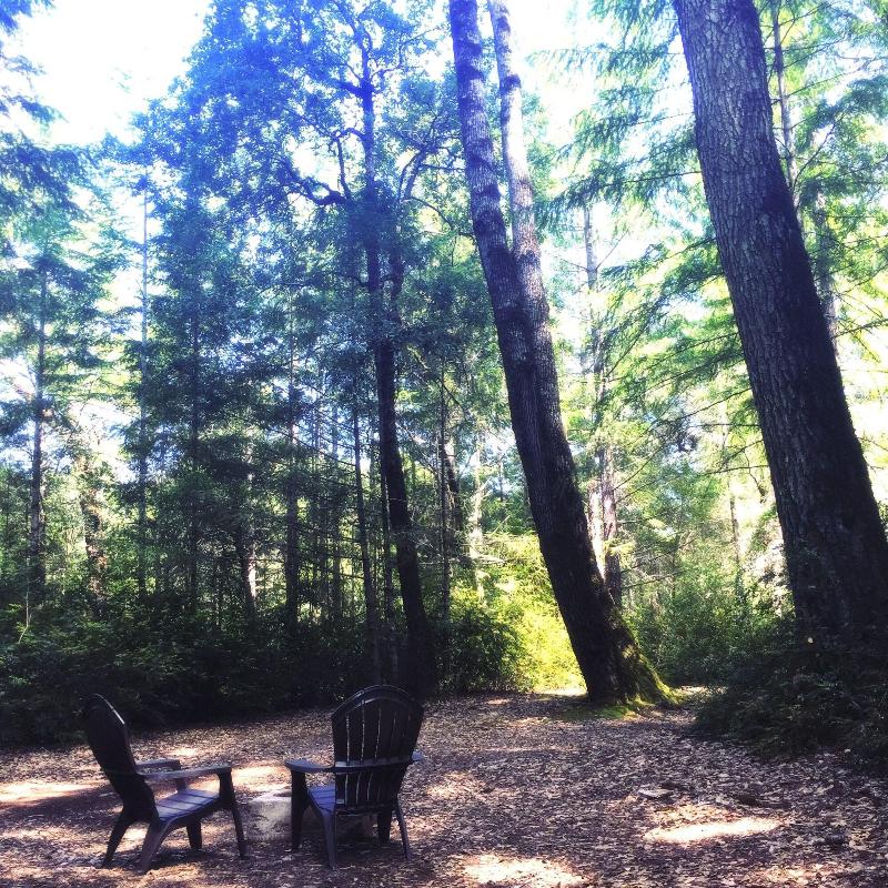 Redwoods River Resort image