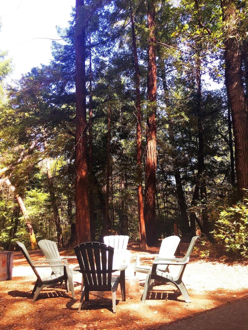 Redwoods River Resort image