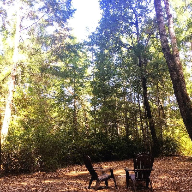 Redwoods River Resort image