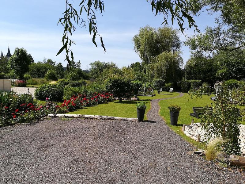 Cléome image