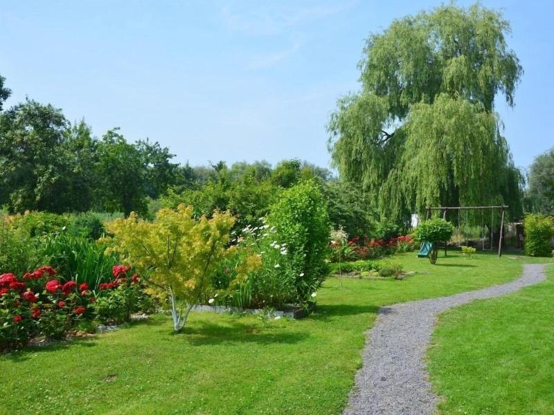 Cléome image