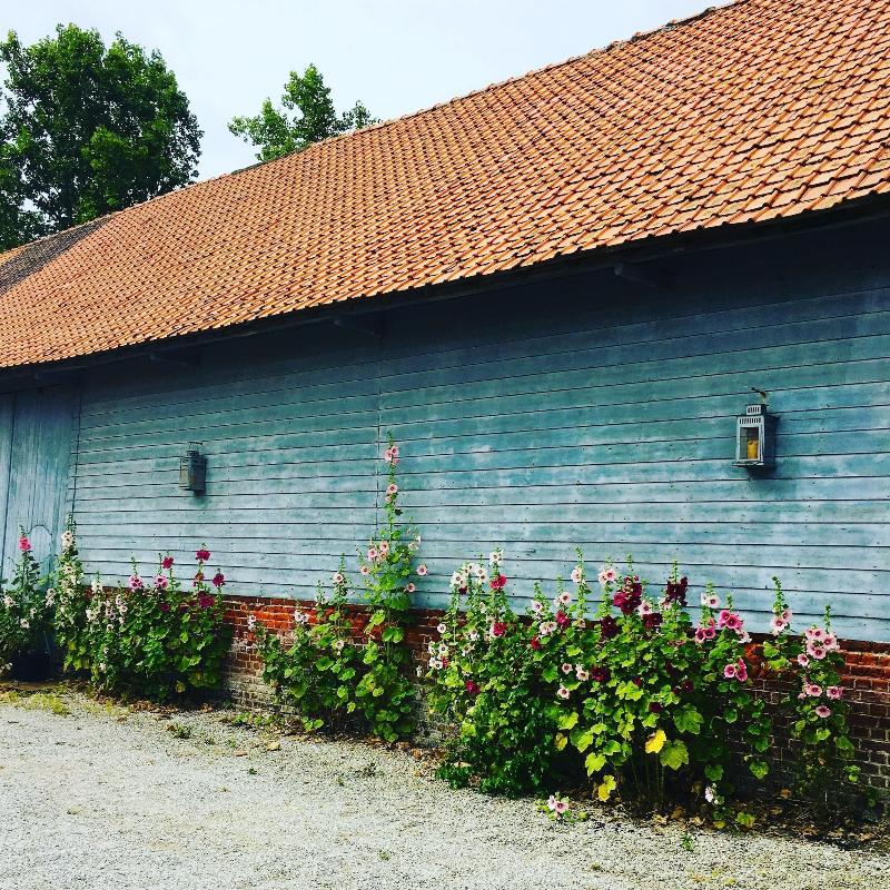 Paardenhof Guesthouse image
