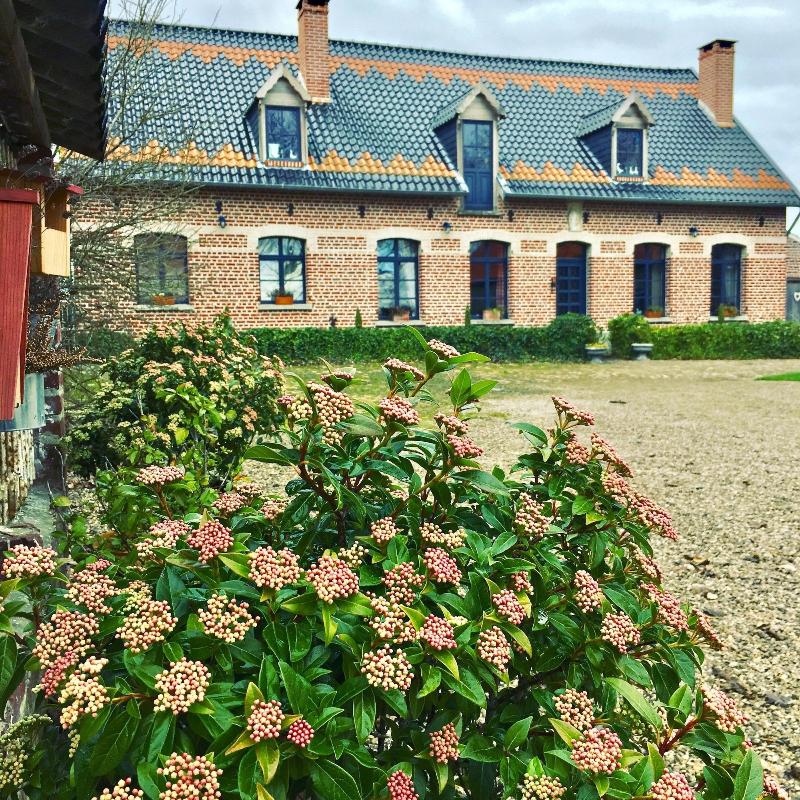 Paardenhof Guesthouse image