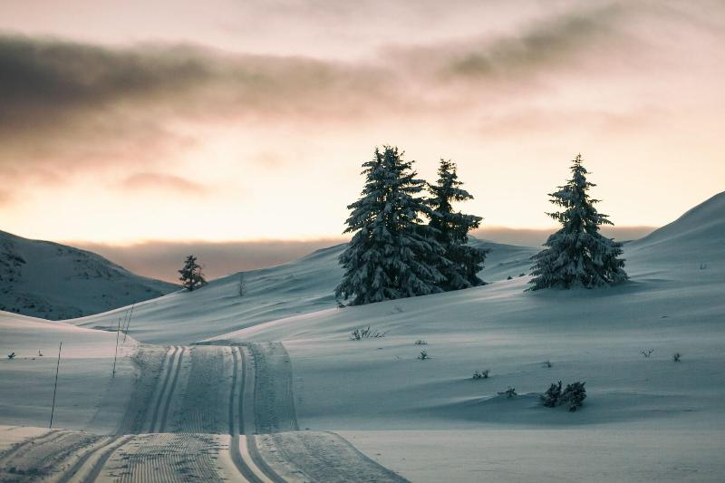 Rondane Høyfjellshotell image