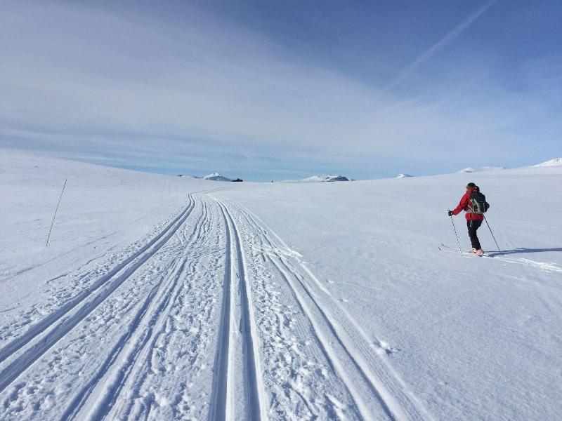 Rondane Høyfjellshotell image 6