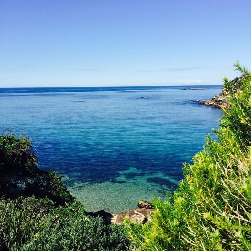 Coogee Beach House - Hostel image