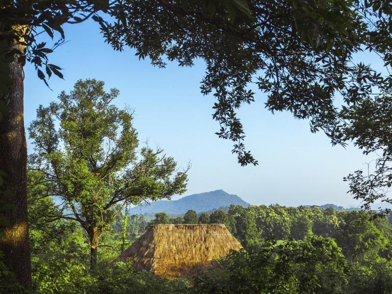 Gal Oya Lodge — general view