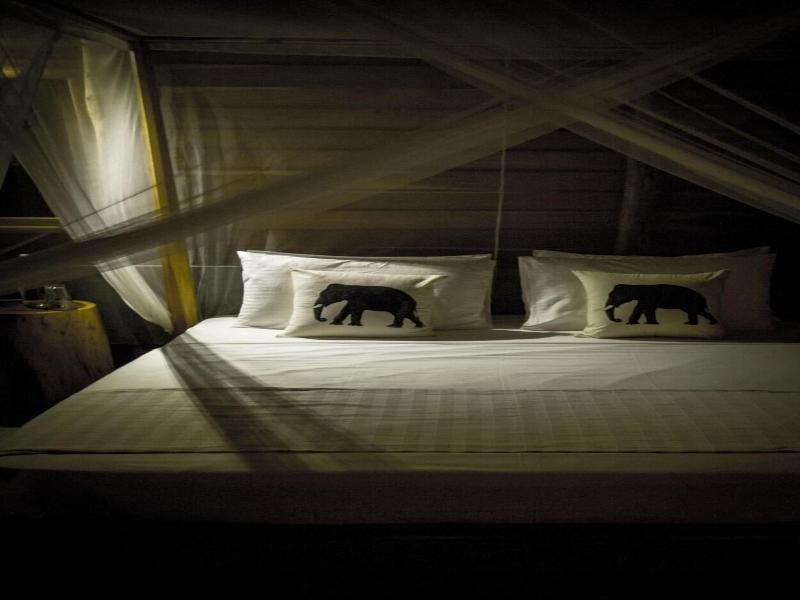 Gal Oya Lodge gallery photo 28