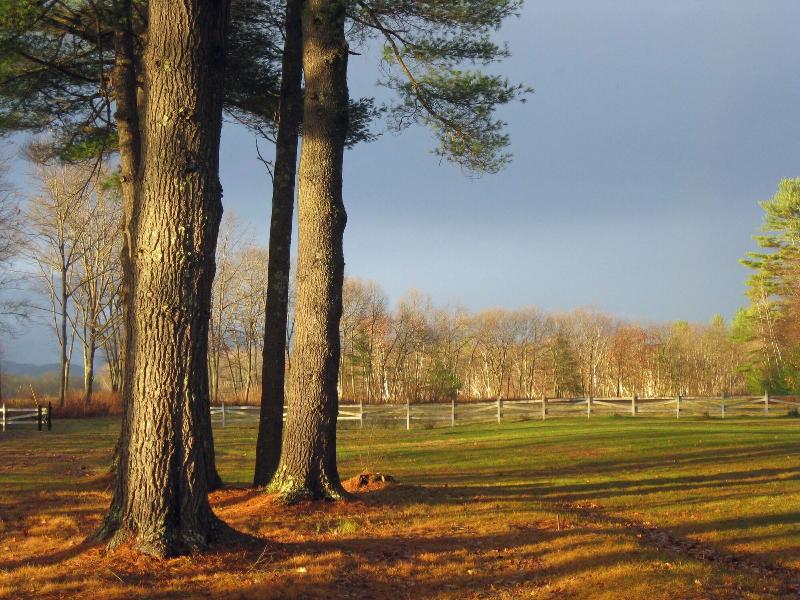 The Old Saco Inn
