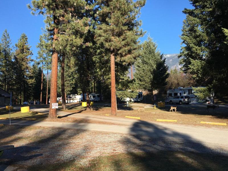 Rimrock Lodge image