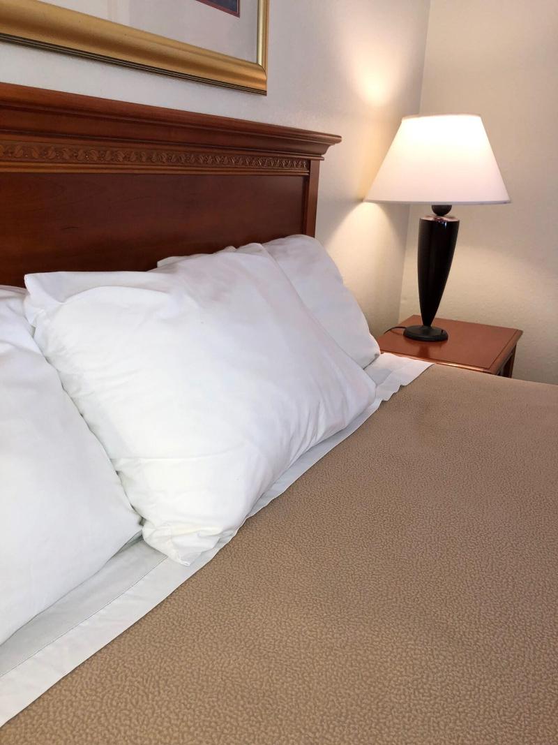 The Caden Hotel image 4