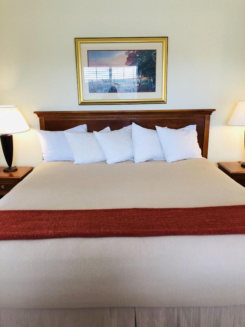 The Caden Hotel image 5