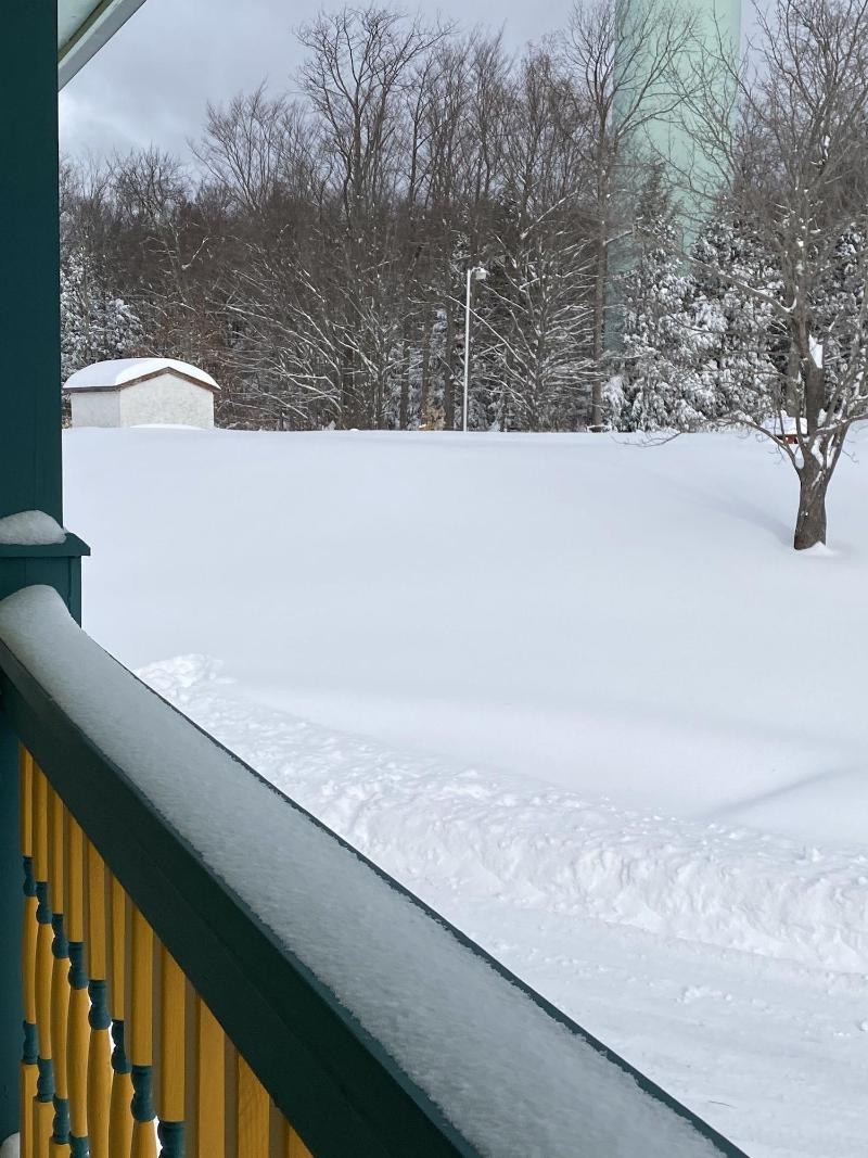 Sunview Motel image