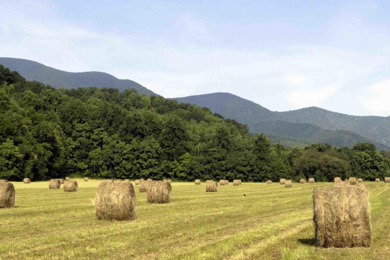 Graves Mountain Farm & Lodges image