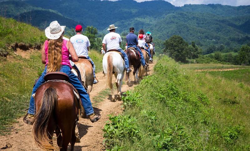 Graves Mountain Farm & Lodges image