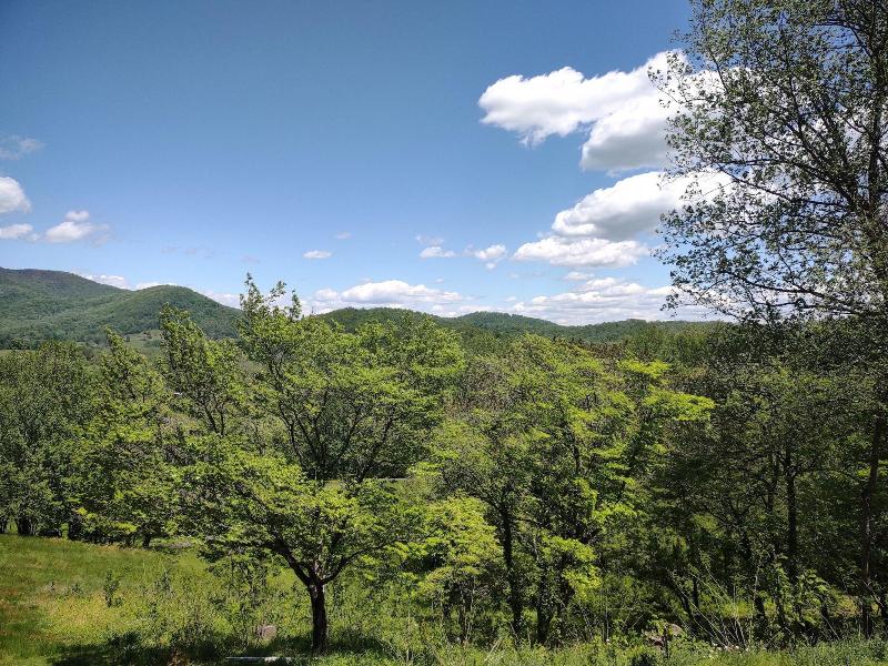 Graves Mountain Farm & Lodges image