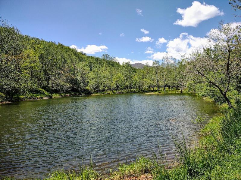 Graves Mountain Farm & Lodges image