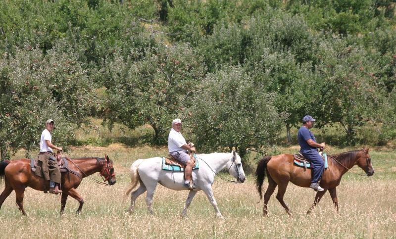 Graves Mountain Farm & Lodges image