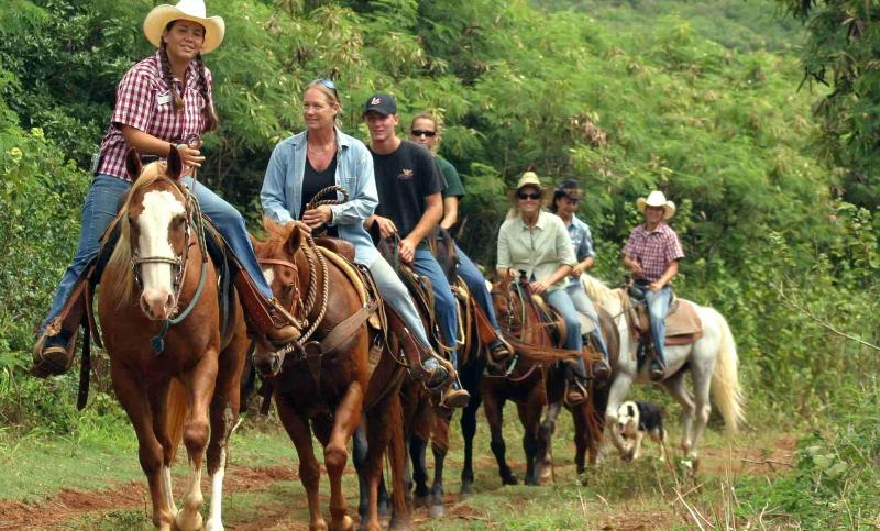 Graves Mountain Farm & Lodges image