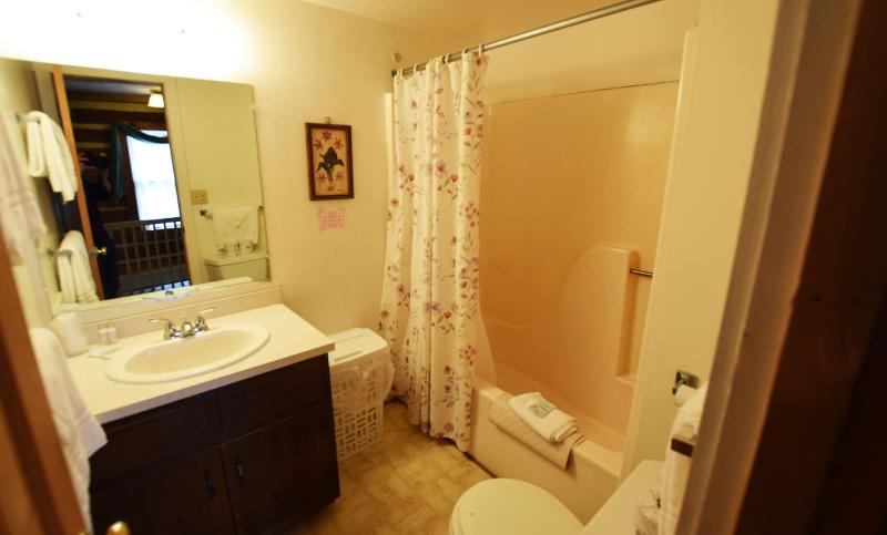 Graves Mountain Farm & Lodges image