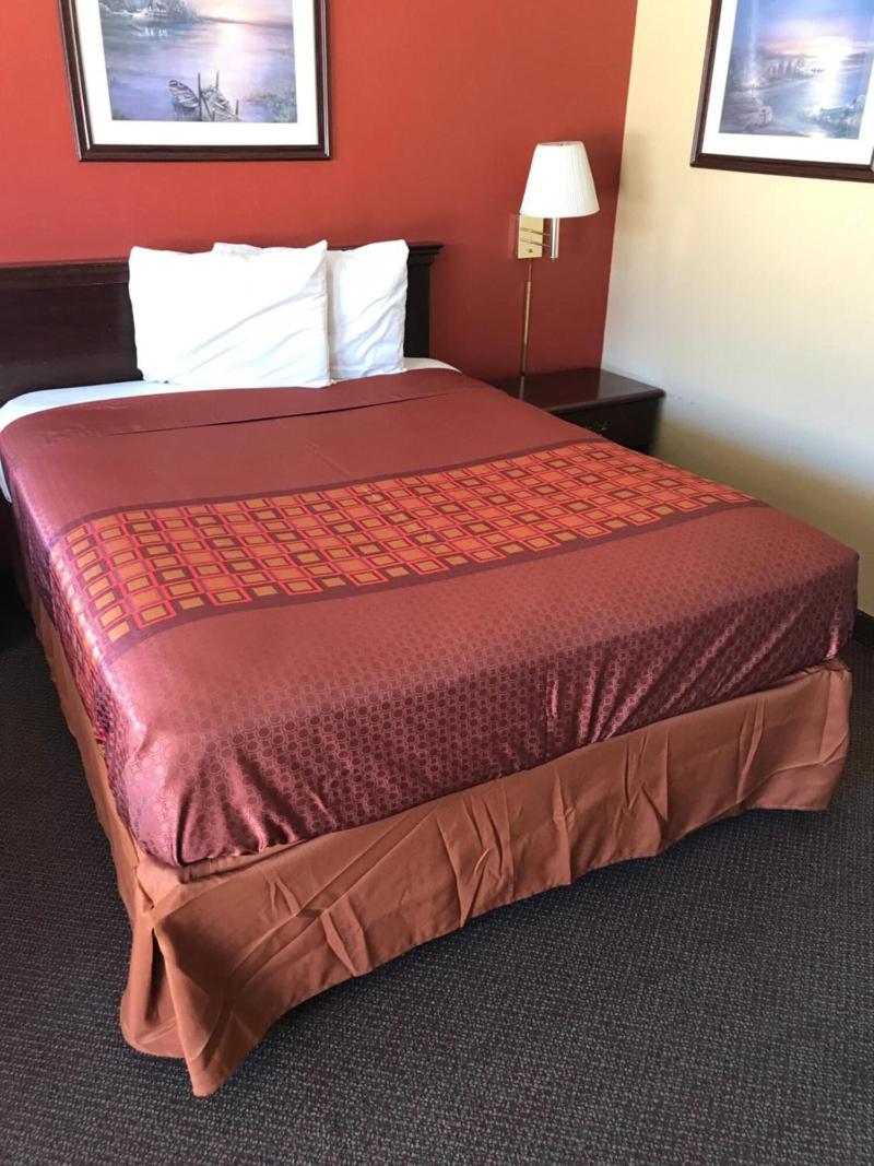 Palace Motel image 2
