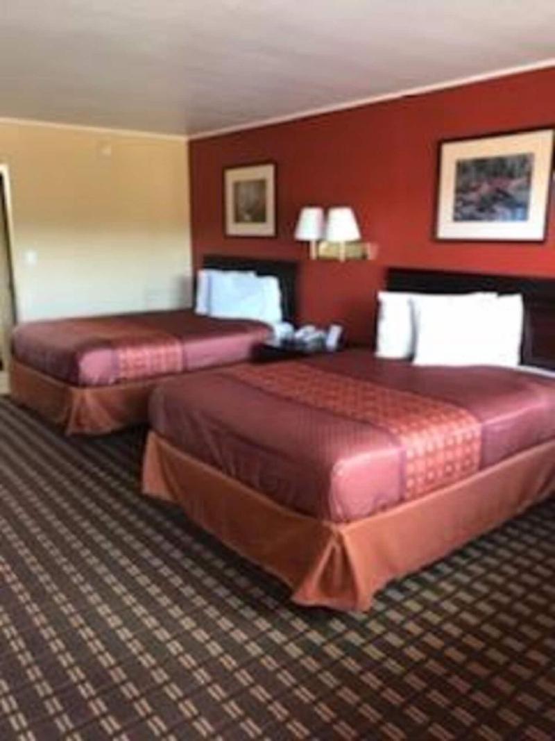 Palace Motel image 1