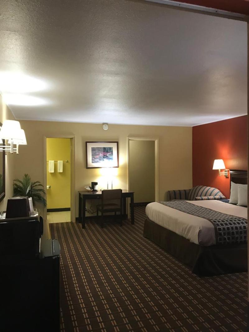 Palace Motel image 3