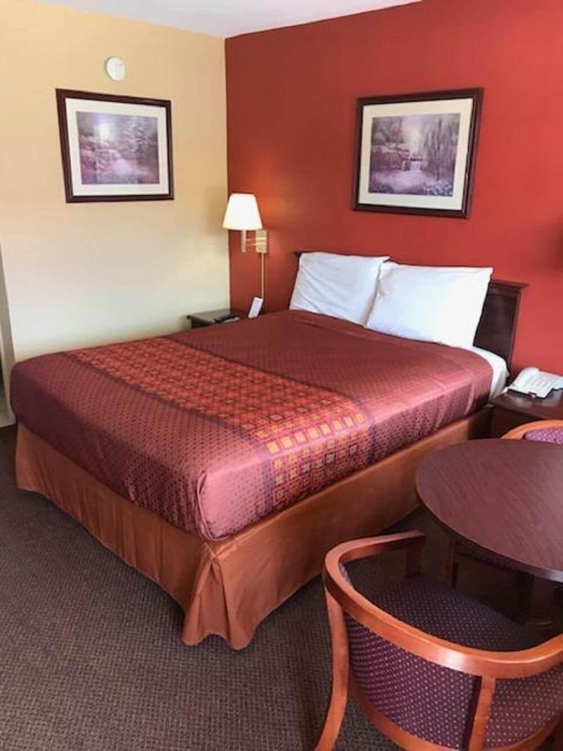 Palace Motel image