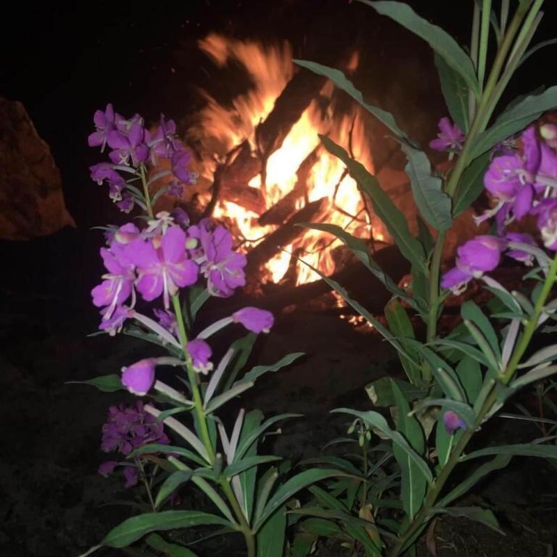 Cantwell Lodge image