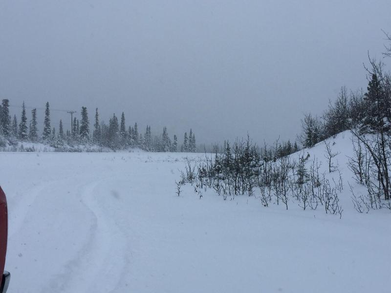 Cantwell Lodge image 10