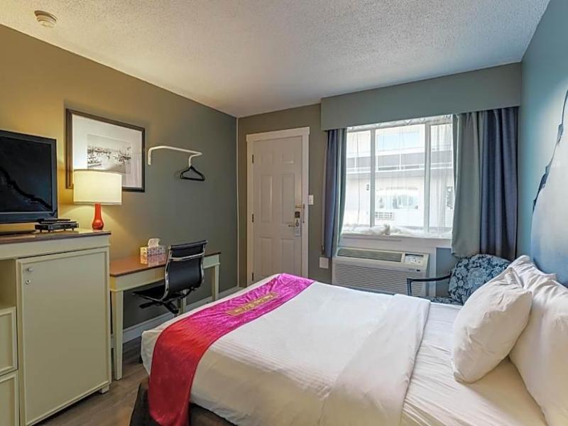 Ace Motel