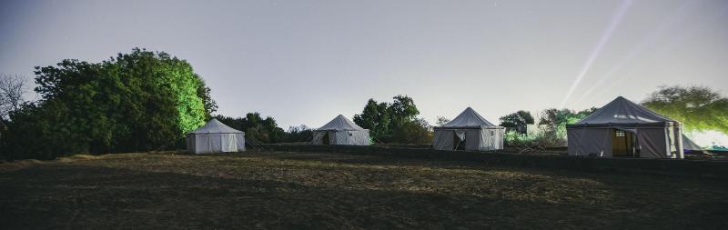 Nuba Narty image