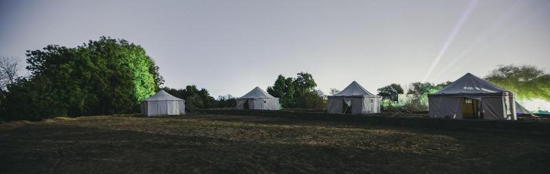 Nuba Narty image