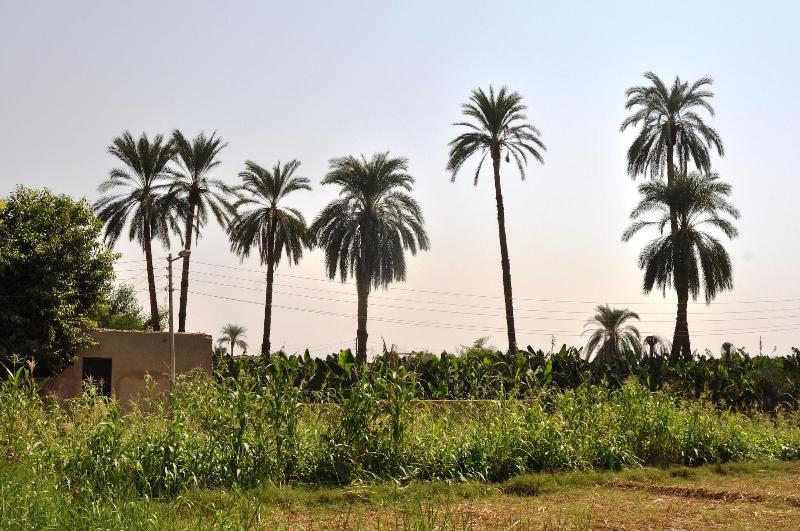 El Nakhil Hotel image