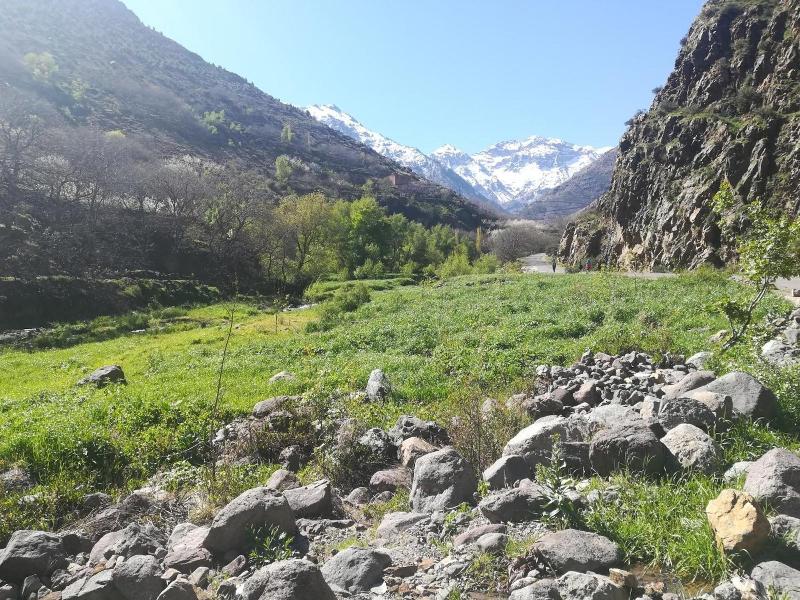 Berber Family Lodge image