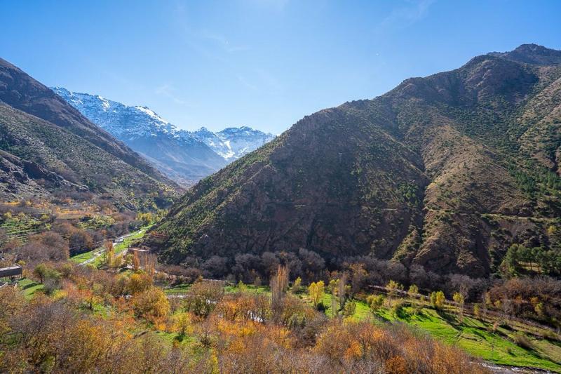 Berber Family Lodge image