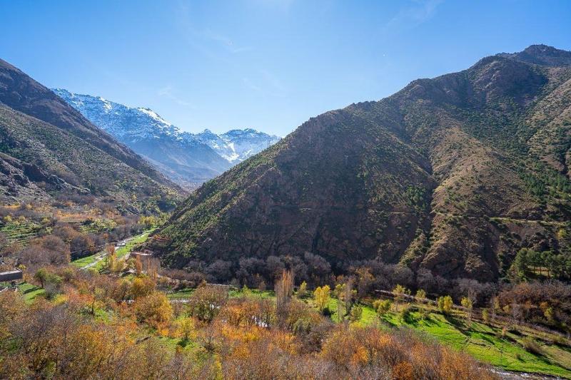 Berber Family Lodge image